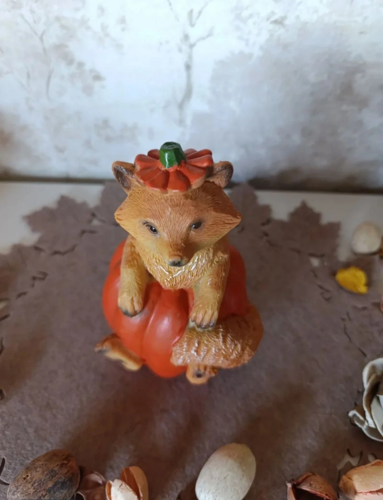 Calabaza avec zorrillo – photo 3